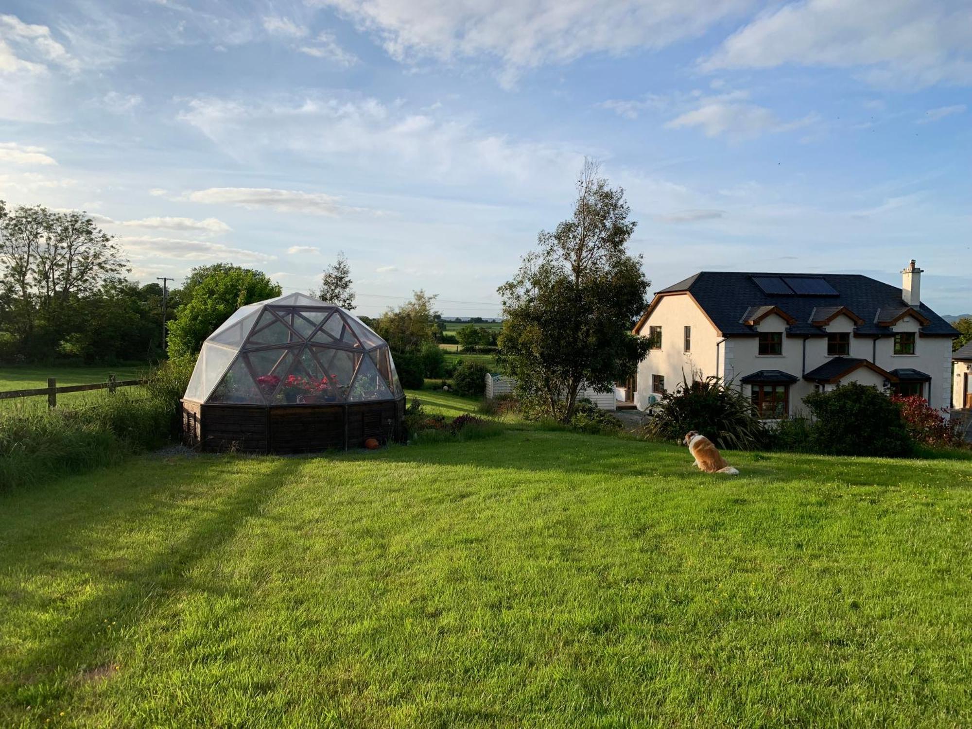 Tobernaglough Wexford Pet Friendly Country B&B Ramsgrange Eksteriør billede