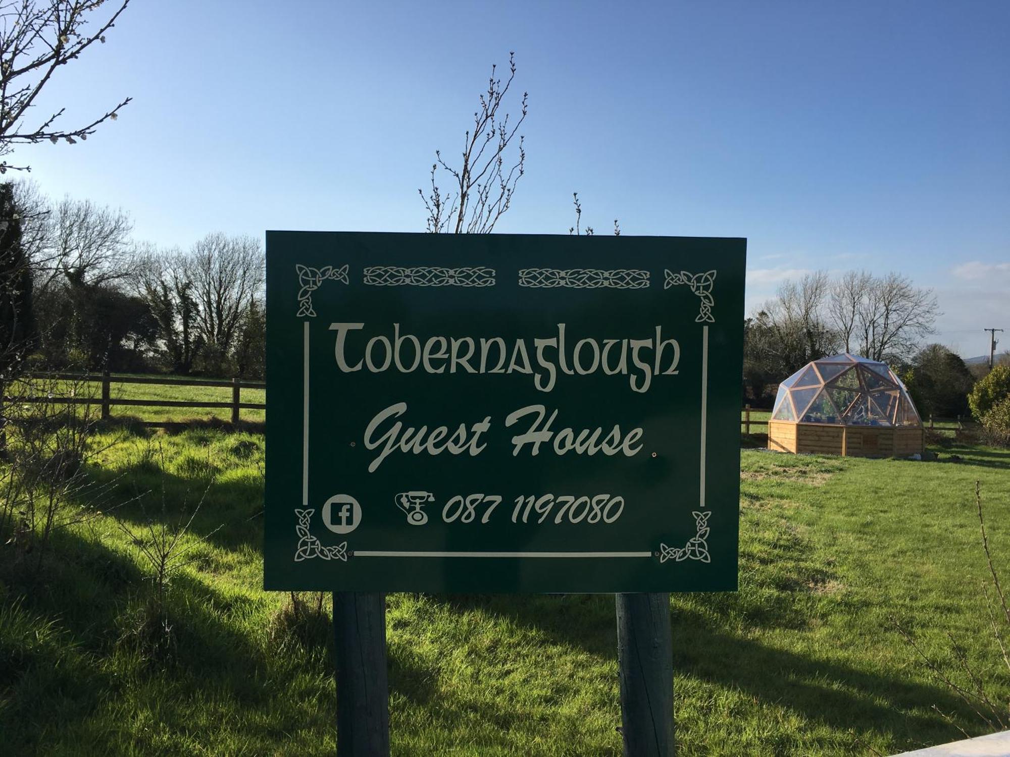 Tobernaglough Wexford Pet Friendly Country B&B Ramsgrange Eksteriør billede