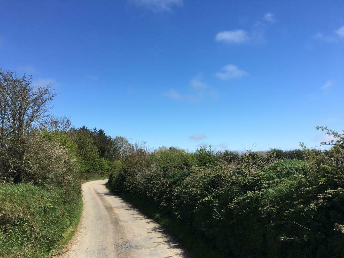 Tobernaglough Wexford Pet Friendly Country B&B Ramsgrange Eksteriør billede