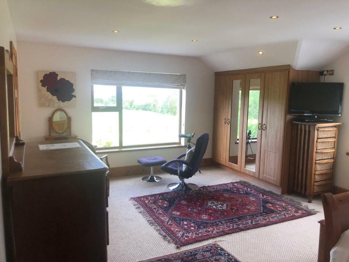 Tobernaglough Wexford Pet Friendly Country B&B Ramsgrange Eksteriør billede